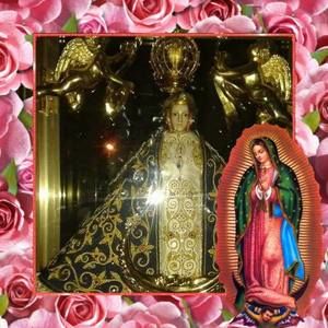 Meet your Posher, Juan